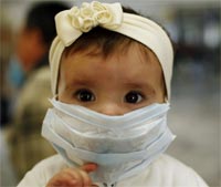 Swine flu interactive