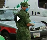 Swine flu interactive