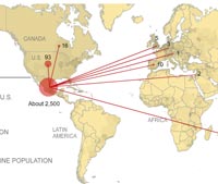 Swine flu interactive