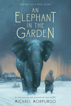 ElephantGarden245