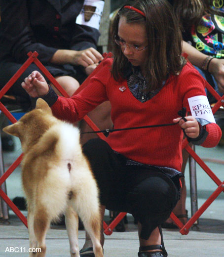 Durham_KennelClub_DogShow_090509_002