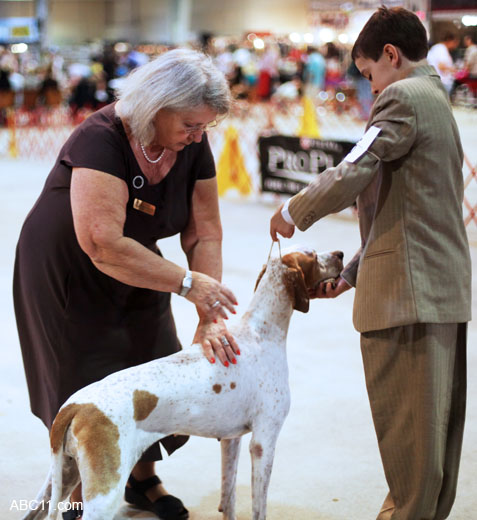 Durham_KennelClub_DogShow_090509_004