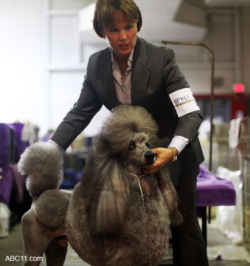 Durham_KennelClub_DogShow_090509_015