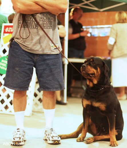 Durham_KennelClub_DogShow_090509_018