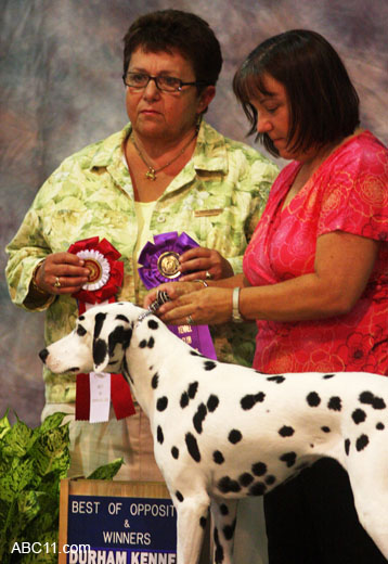 Durham_KennelClub_DogShow_090509_019