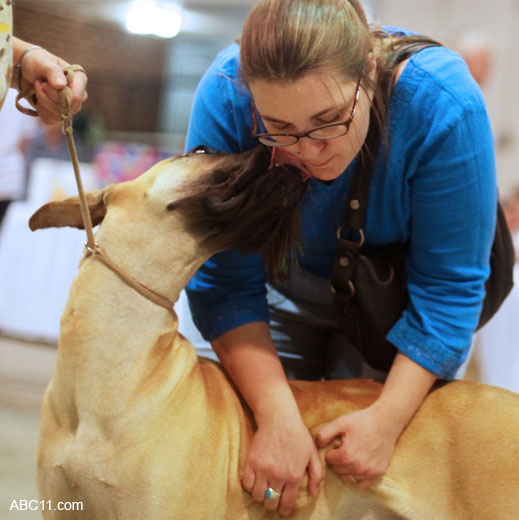 Durham_KennelClub_DogShow_090509_022