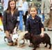 Durham_KennelClub_DogShow_090509_007