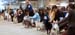 Durham_KennelClub_DogShow_090509_012