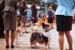 Durham_KennelClub_DogShow_090509_016