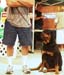 Durham_KennelClub_DogShow_090509_018