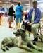 Durham_KennelClub_DogShow_090509_020