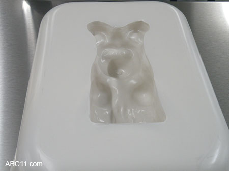 Giant Gummi Bear Factory in Raleigh NC039