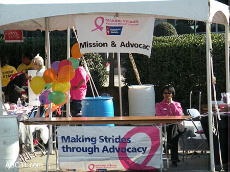 Making Strides 2009008