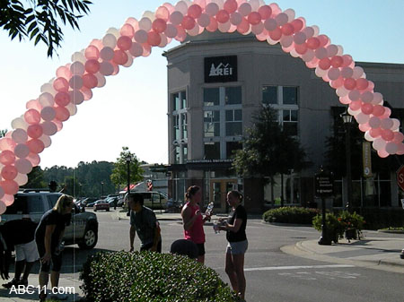 Making Strides 2009009