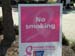 Making Strides 2009022