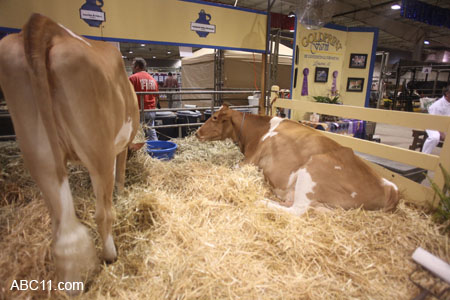 NC_State_Fair_047
