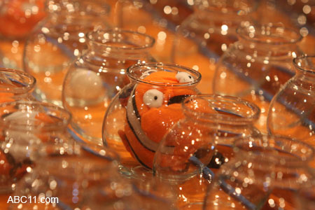 NC_State_Fair_082