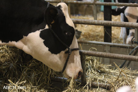 NC_State_Fair_097