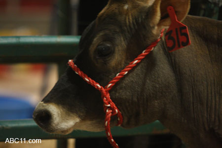 NC_State_Fair_099