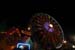 NC_State_Fair_064