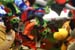 NC_State_Fair_070