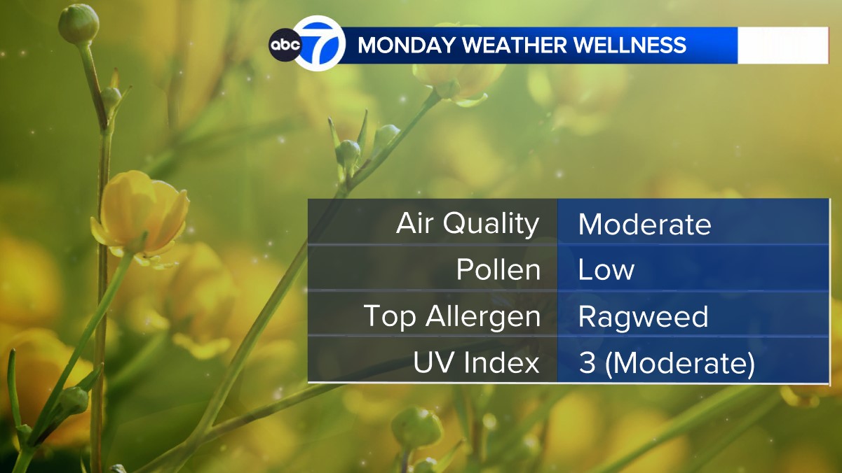 Air Quality, UV Index, Pollen Forecast AccuWeather New York, New